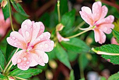 新增海战玩法！《骑马与砍杀2》新DLC将于6月发售